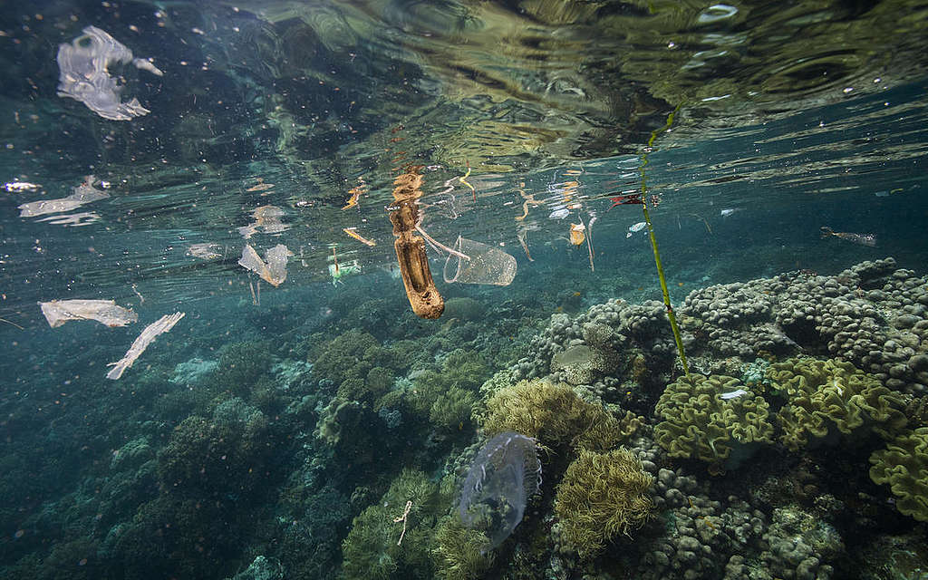 印尼四王群島（Raja Ampat）的海洋受塑膠污染。