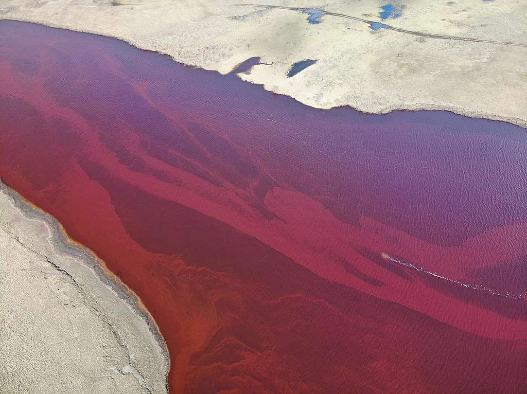 俄羅斯泰米爾半島陷油污危機，此漏油事件應作為淘汰化石能源的契機。