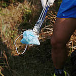 Country Park Clean-up Activity in Hong Kong. © Greenpeace / Andrew Yuen