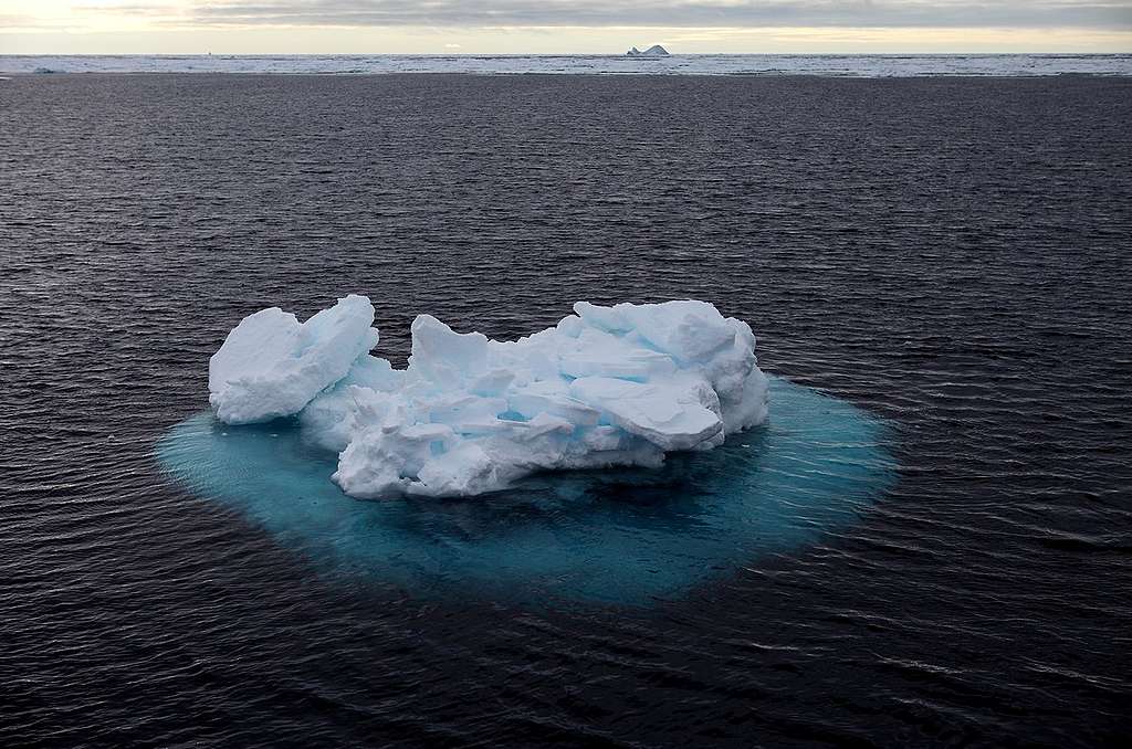 邀請您一同守護珍貴的北極。