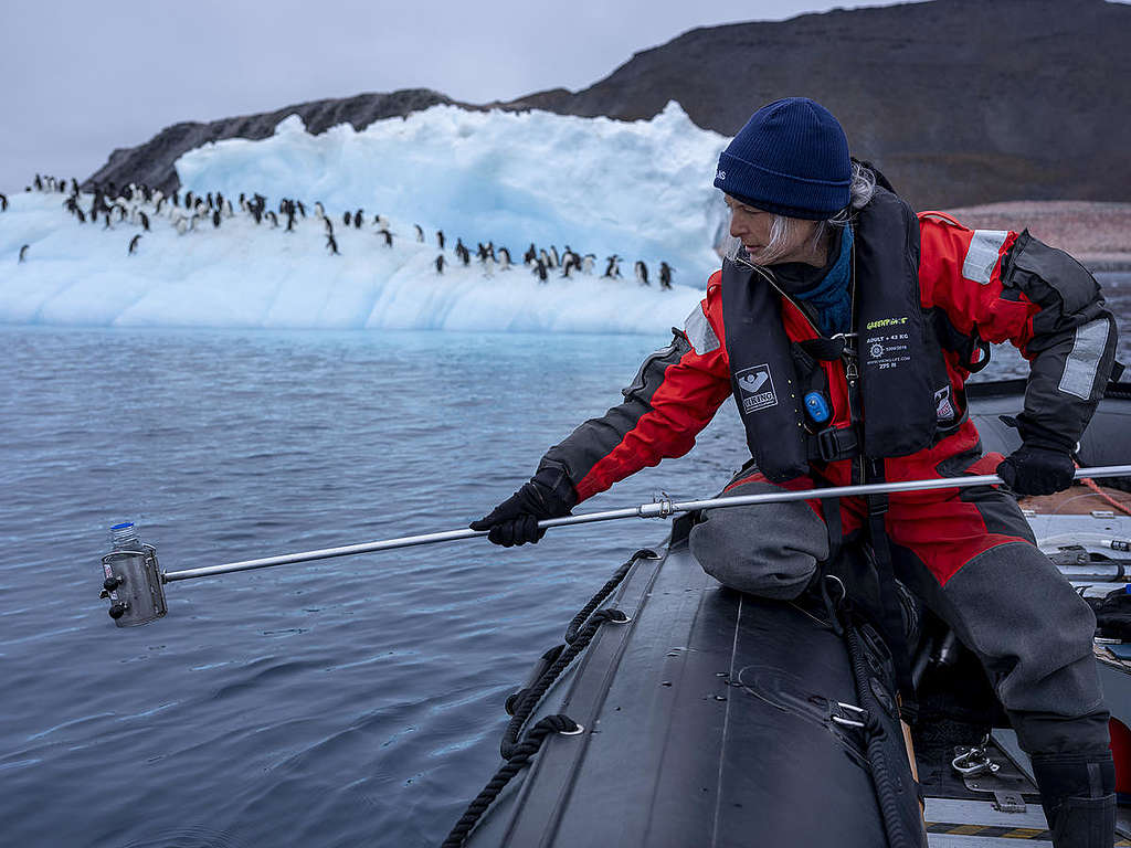 2020年科學家Kirsten Thompson博士參與綠色和平調查，於南極採集海水樣本。