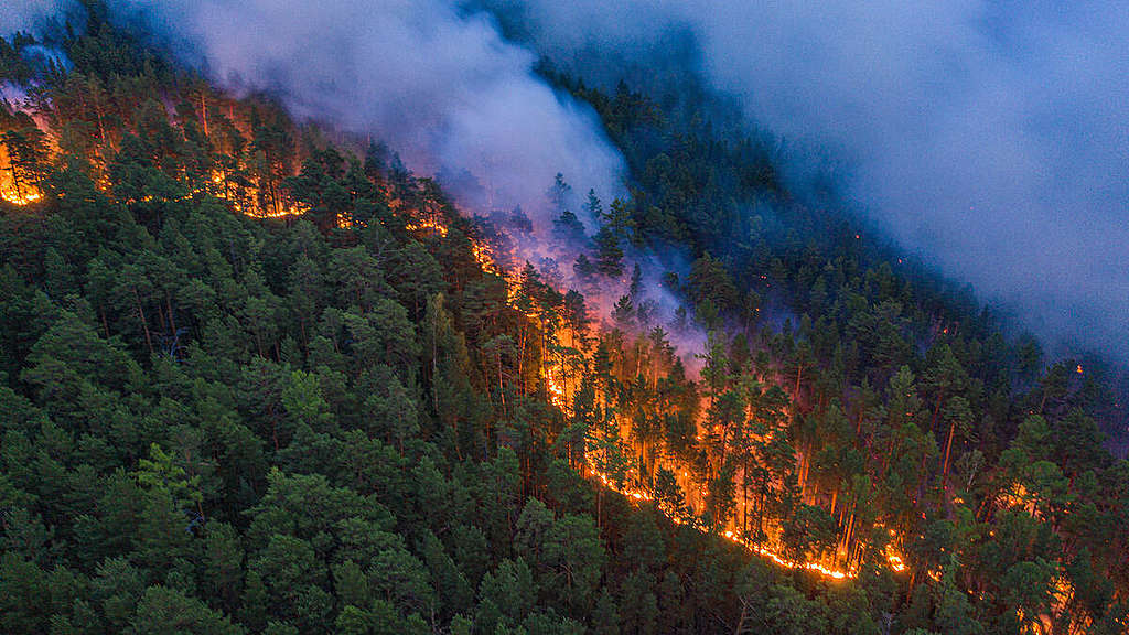 大火產生許多二氧化碳，釋放至大氣將助長氣候變遷。