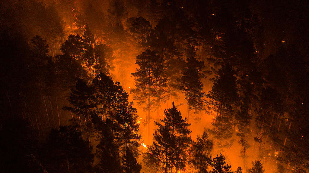 2020年7月21日，綠色和平調查團隊前往火災現場，實地記錄大火現況，拍攝出本篇文章一系列的影像。
