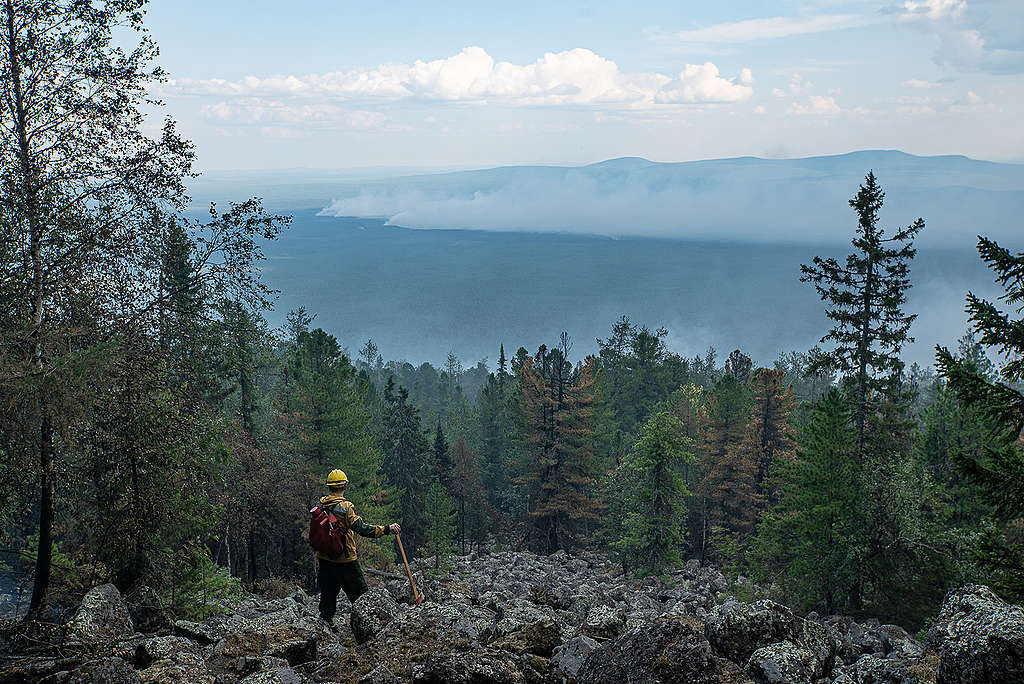 消防人員遠眺森林火勢，濃煙飄向天空。也許這場氣候的戰役還很漫長。