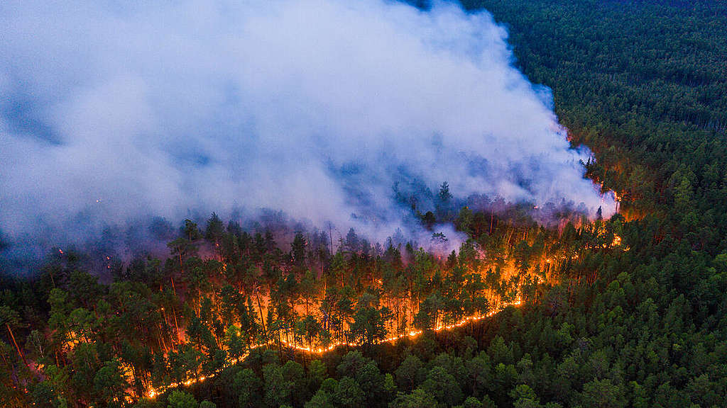 氣候危機，西伯利亞大火的成因與極端氣候息息相關，而大火所釋放的二氧化碳更助長氣候變遷，形成惡性循環。