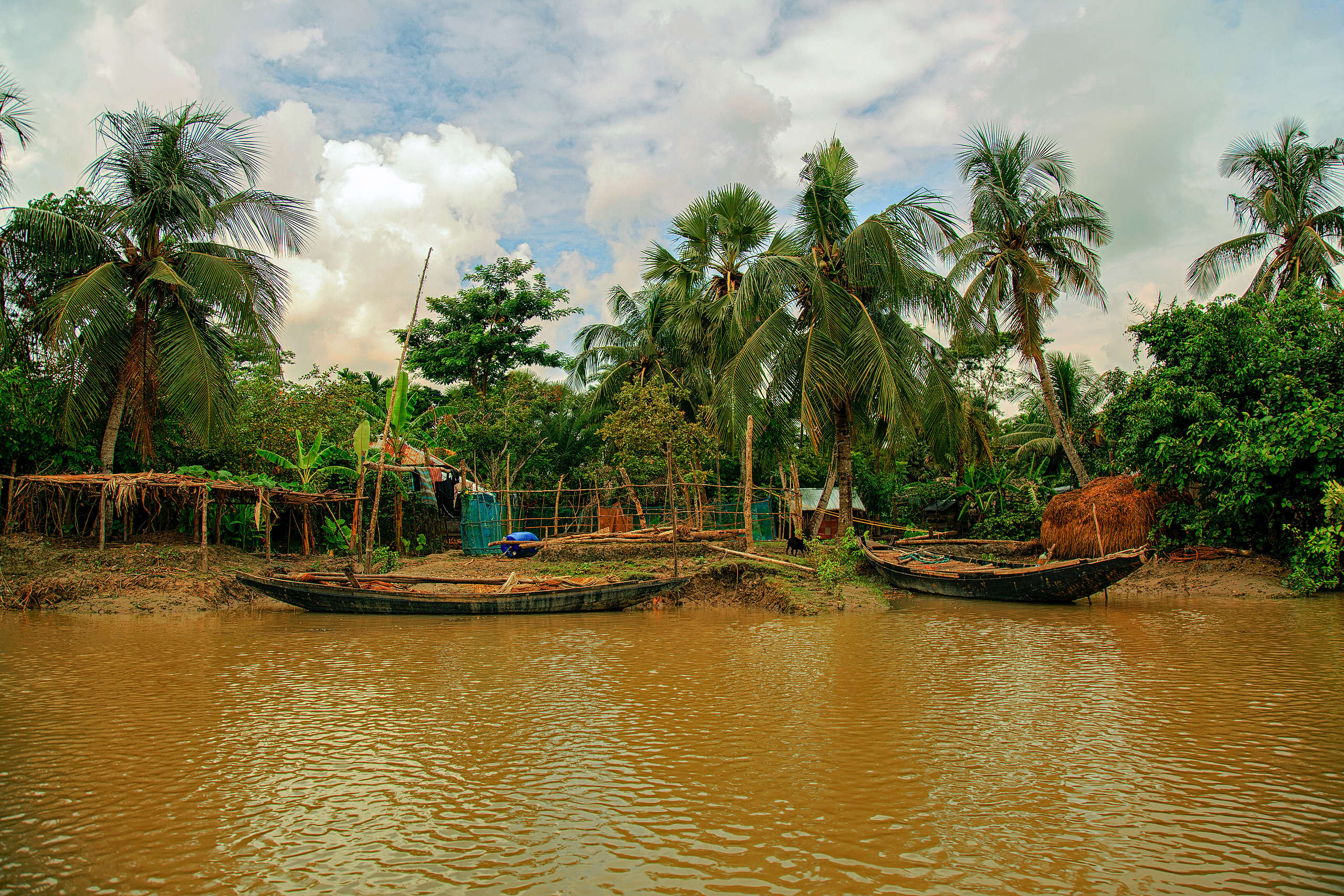 蘇達班島是世界最大的單塊潮汐嗜鹽紅樹林，被列為聯合國教科文組織世界遺產，也是孟加拉虎生活的重要區域。