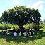2020年7月與8月，綠色和平為高中生舉辦環保夏令營，除了介紹環境專案，更有實作體驗。