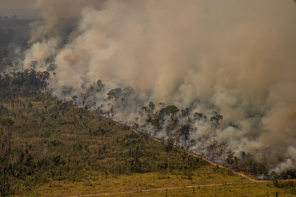 亞馬遜雨林火災失控 巴西腹背受敵 | Capital 資本平台