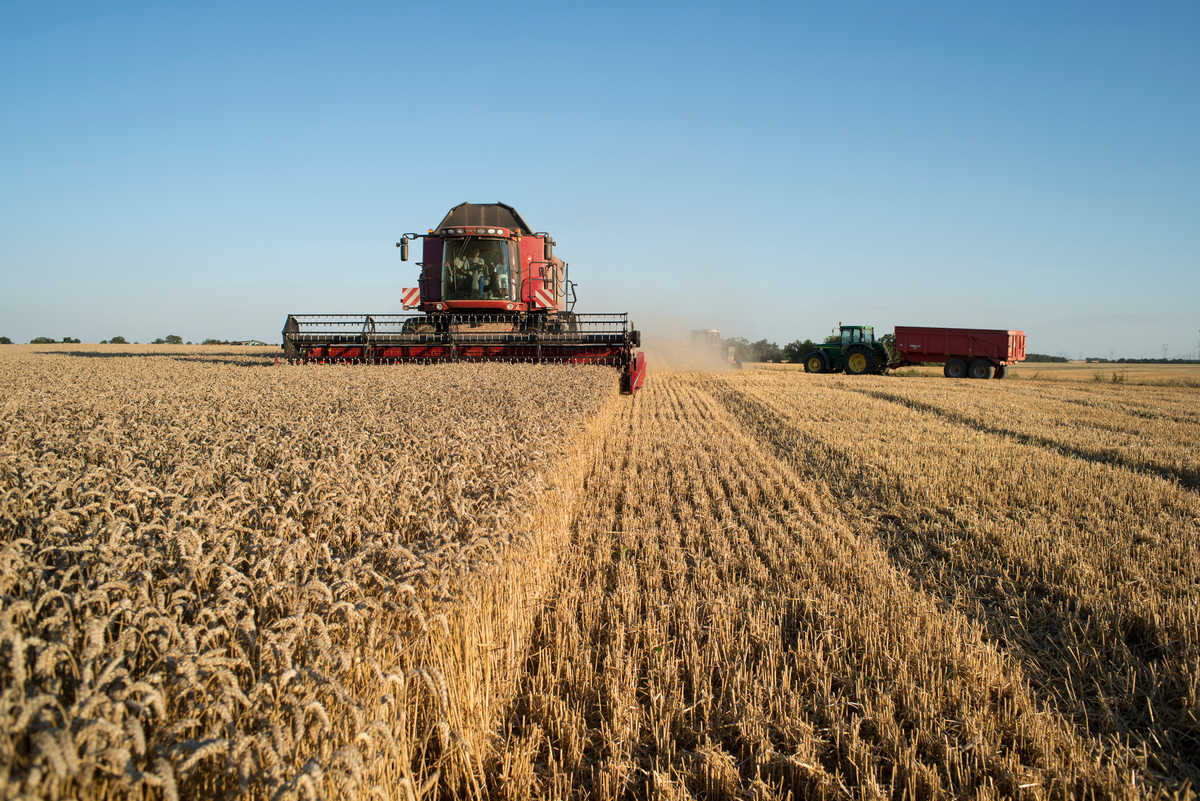 農業生產作物的過程中所產生的溫室氣體，佔糧食排放總量的27% 。