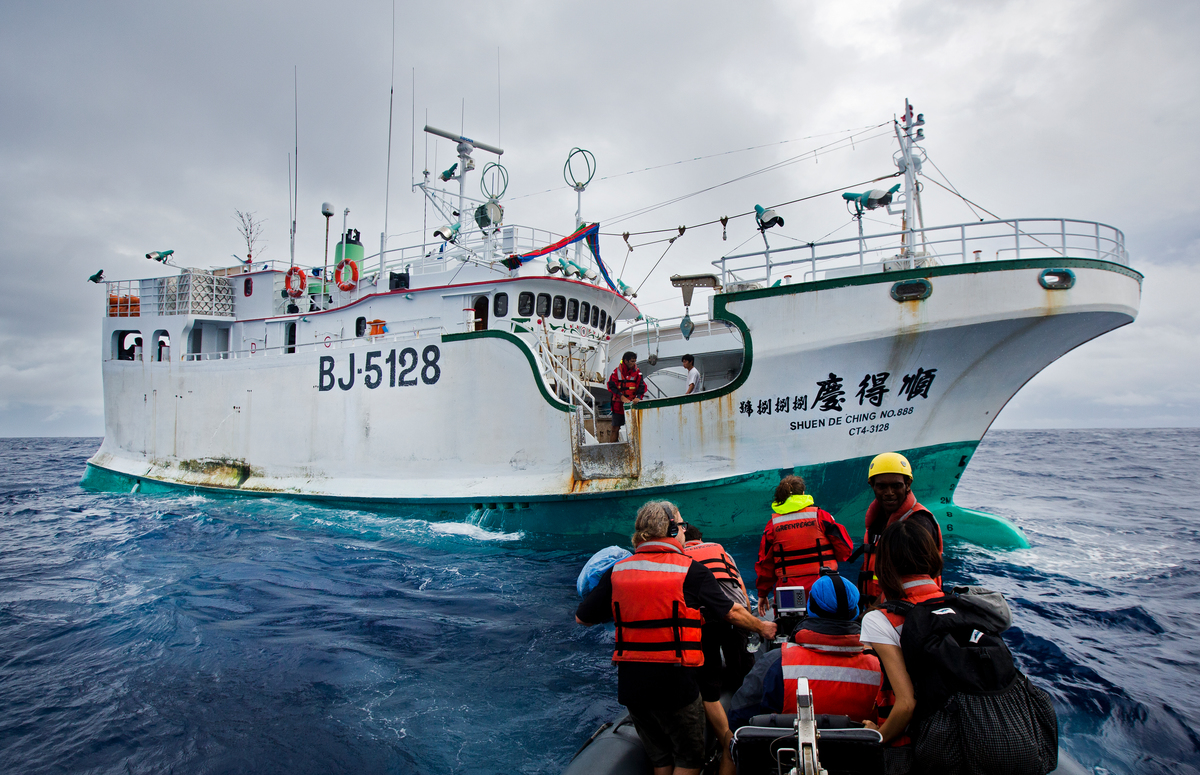 綠色和平行動者於第一線直擊、紀錄、揭露臺灣籍漁船「順得慶 888 號」非法作業情事。