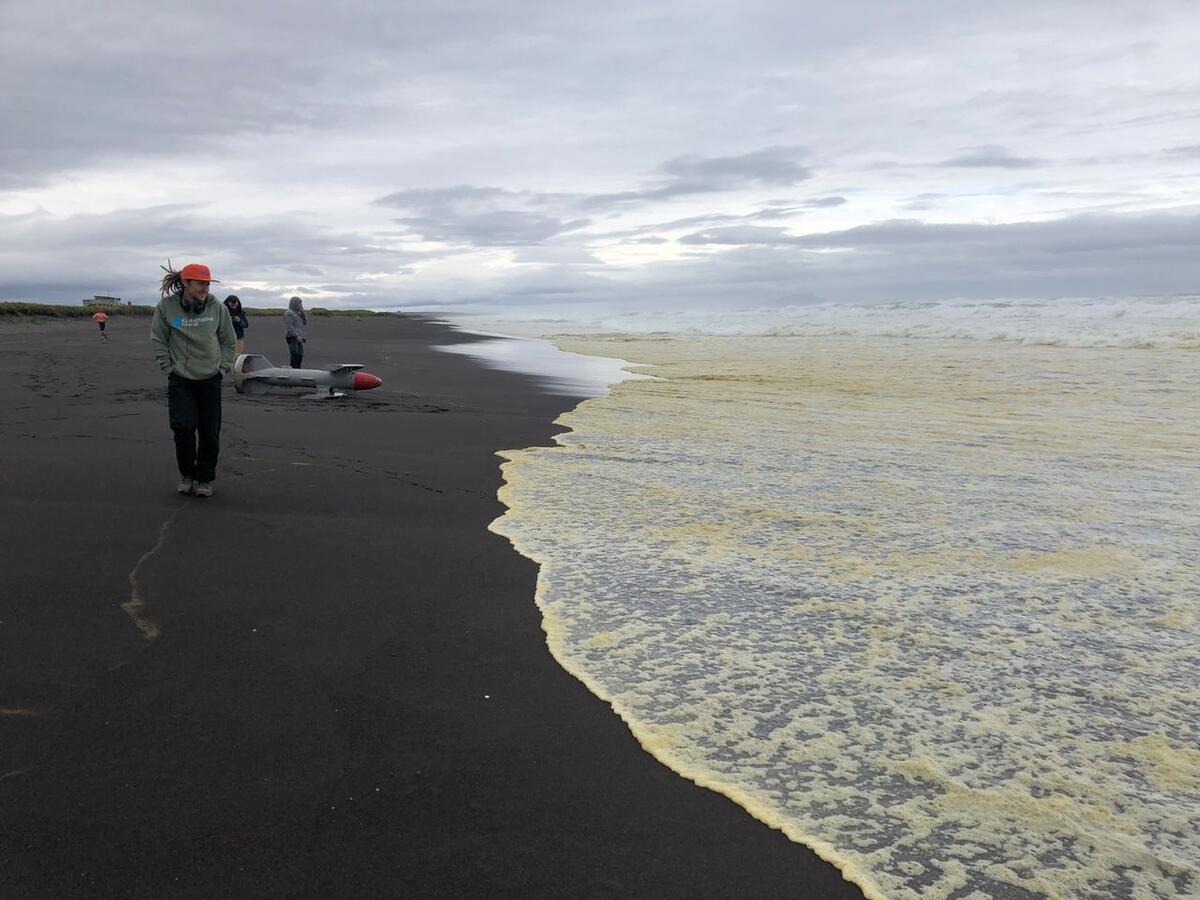 太平洋出現不知名的有毒物質流入太平洋,使堪察加海面漂著黃色泡沫,原因尚在調查中。