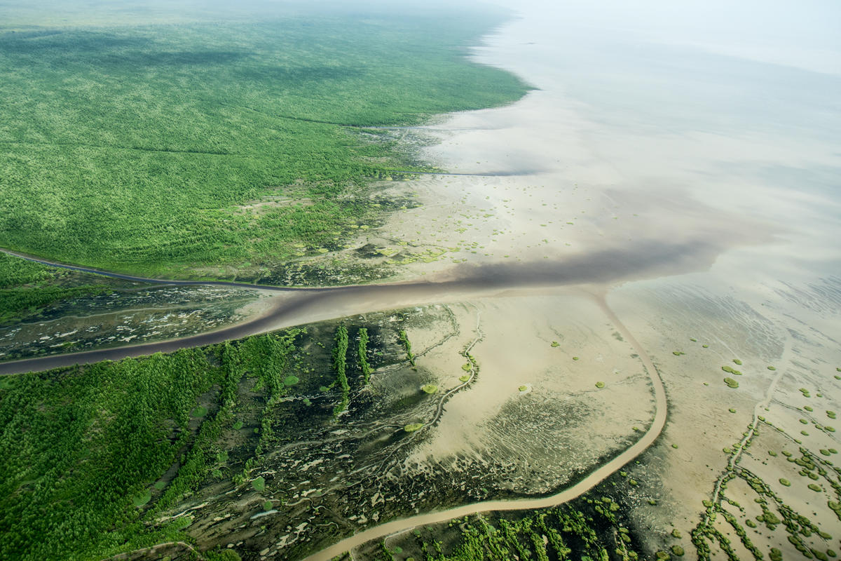 根據地質學家的分析，這大片珊瑚礁所在的亞馬遜河口盆地，石油蘊藏量高達140億桶，成為石油業者覬覦對象，但鑽油既助長石化燃料進一步引發氣候變遷，更有可能造成生態浩劫。