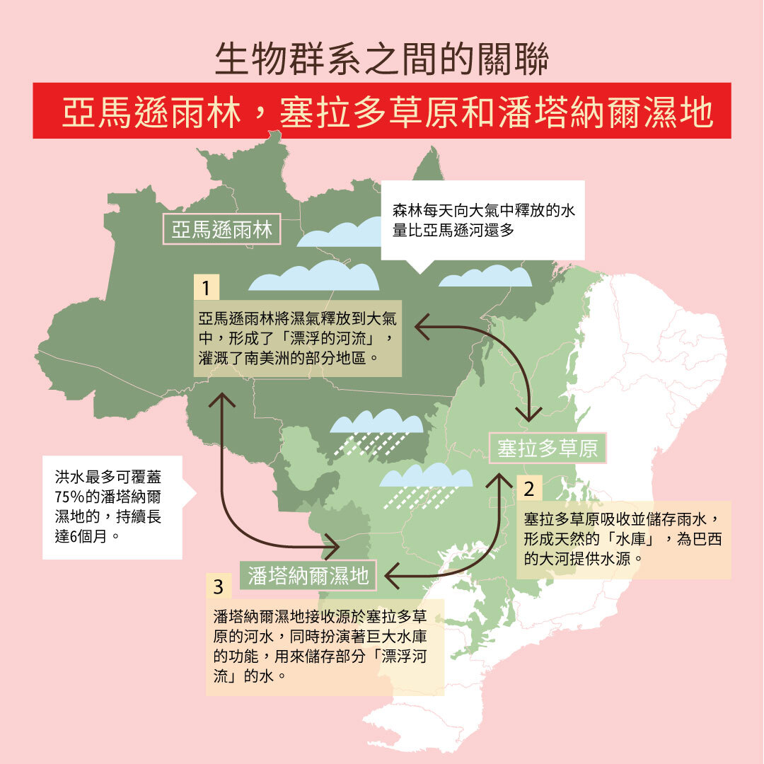 巴西亞馬遜生物群系(Amazon biome)中,亞馬遜雨林、塞拉多草原、潘塔納爾濕地之間的水文關係,健康的狀況下可維持生態的濕度並保存水分,更是當地豐富生態的泉源。