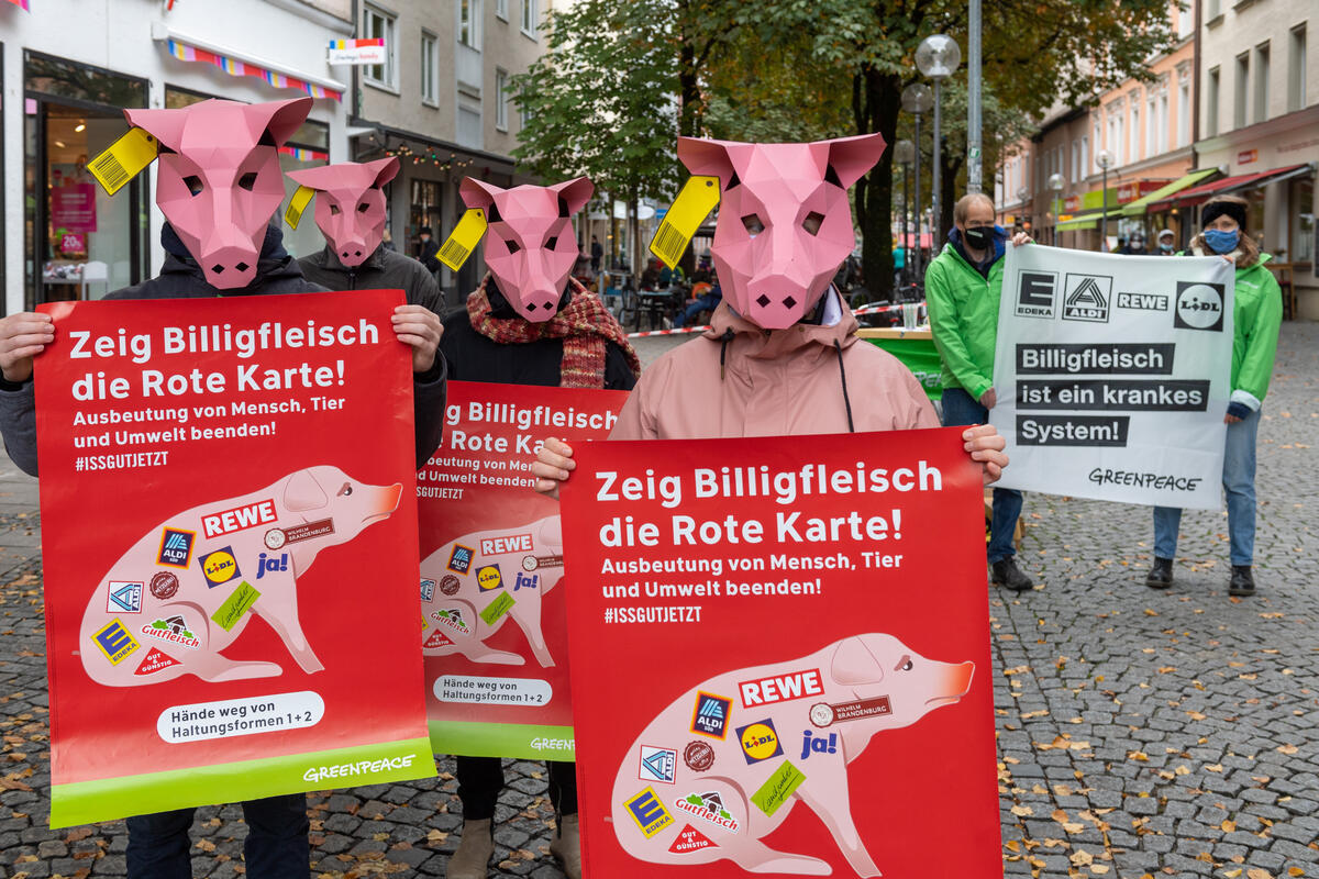 德國：2020年1月，綠色和平德國辦公室發布「肉品稅」研究報告，指出廉價的工業化肉品，與過度開發環境、剝削動物福利有密不可分的關係。同年10月，德國逾50個城市的行動者手執「廉價肉品是一種病態系統」（cheap meat is a sick system）標語，倡議政府因基於肉品與乳製品產生的高碳排，對環境及動物造成的危害，提高肉品稅。