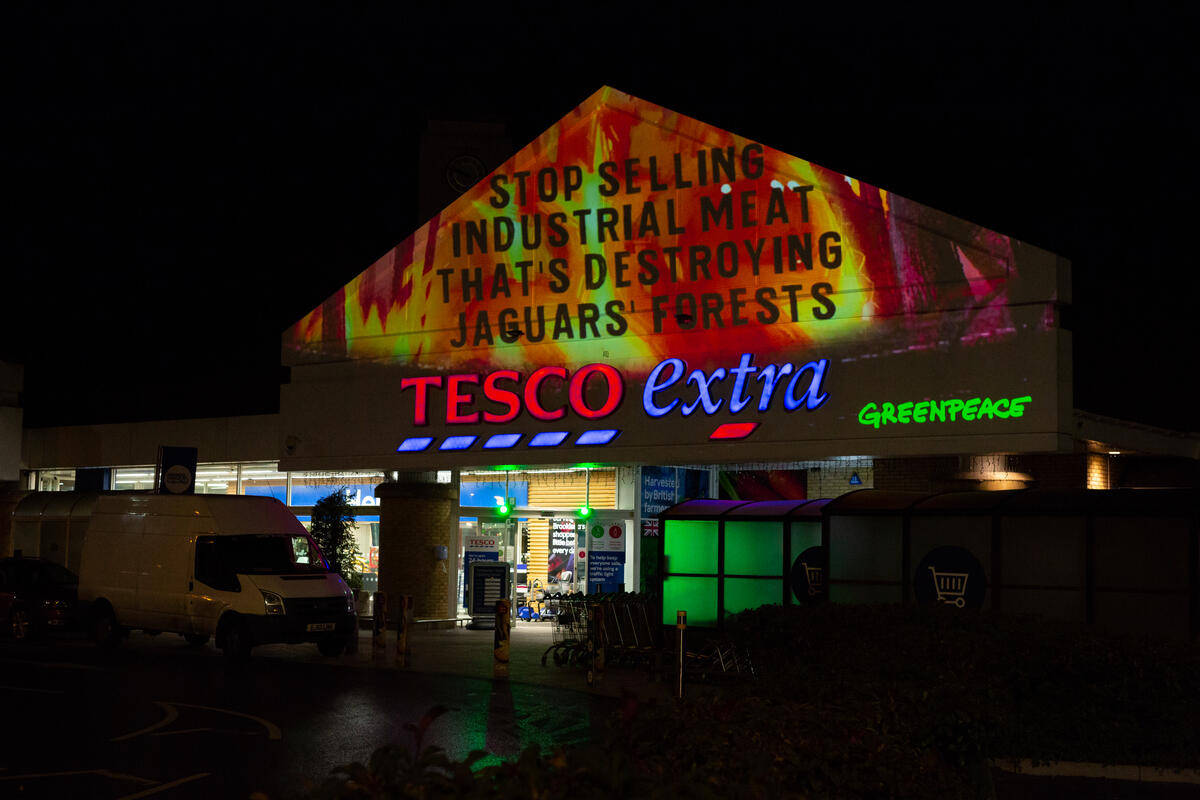 綠色和平英國行動者以投影向英國連鎖超市Tesco倡議，說明涉及亞馬遜大火的肉品如何進入超市，成為Tesco獲利來源，藉此要求企業淘汰毀林肉品，善盡社會責任。