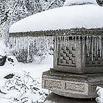 2021年1月，日本遭受暴風雪侵襲，庭園覆蓋一層厚厚的白雪。