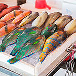 近海沒有魚！漁業產值30年蒸發約279億臺幣，綠色和平推臺灣2030年成立30%海洋保護區