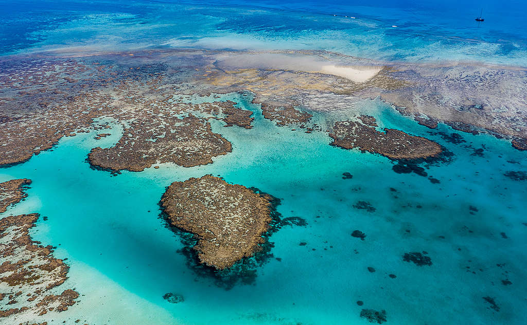 大堡礁海洋保護區