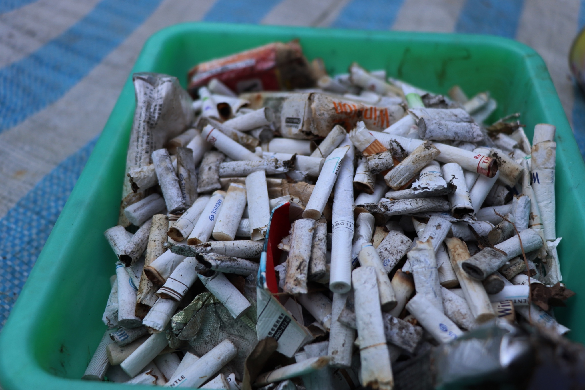 在此次淨山行動中，第二大宗的廢棄物為菸蒂。看似只由菸草和紙構成的香菸，濾嘴部分其實是以塑膠纖維製成，不僅難以分解，菸蒂中殘留的尼古丁、砷、鉛等有害物質更會逸散到大自然中，危害環境。