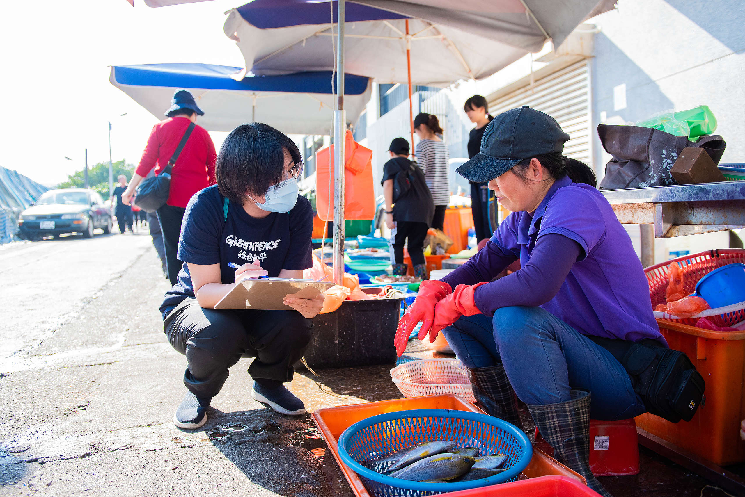 2020年，綠色和平沿近海漁業專案團隊與行動者，實地走入臺灣北部漁港，進行漁獲種類調查研究。© Greenpeace