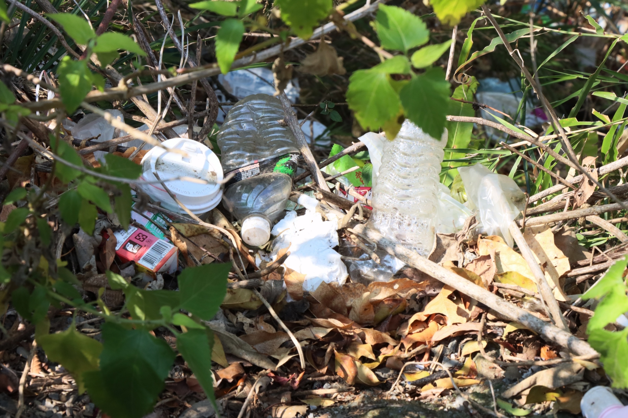 志工們深入山谷,發現樹叢間隨處可見一次性食品包裝與廢棄物。© Greenpeace