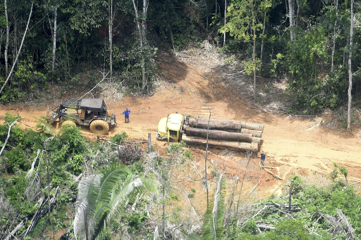 巴西亞馬遜的非法縱火、侵占土地與盜伐問題猖獗,許多當地原住民因此失去家園。
