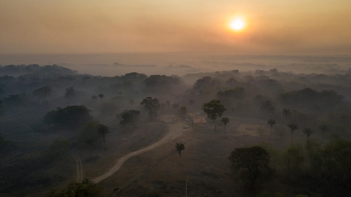 人為大火使全球最大的内陸濕地潘塔納爾（Pantanal）陷入煙霧之中。© Leandro Cagiano / Greenpeace