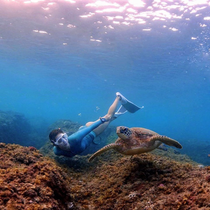 幾個月前，瑞瑪首次去到小琉球與海龜同游，也讓她深刻感受到人類行為對海洋的巨大影響。© Rima Zeidan