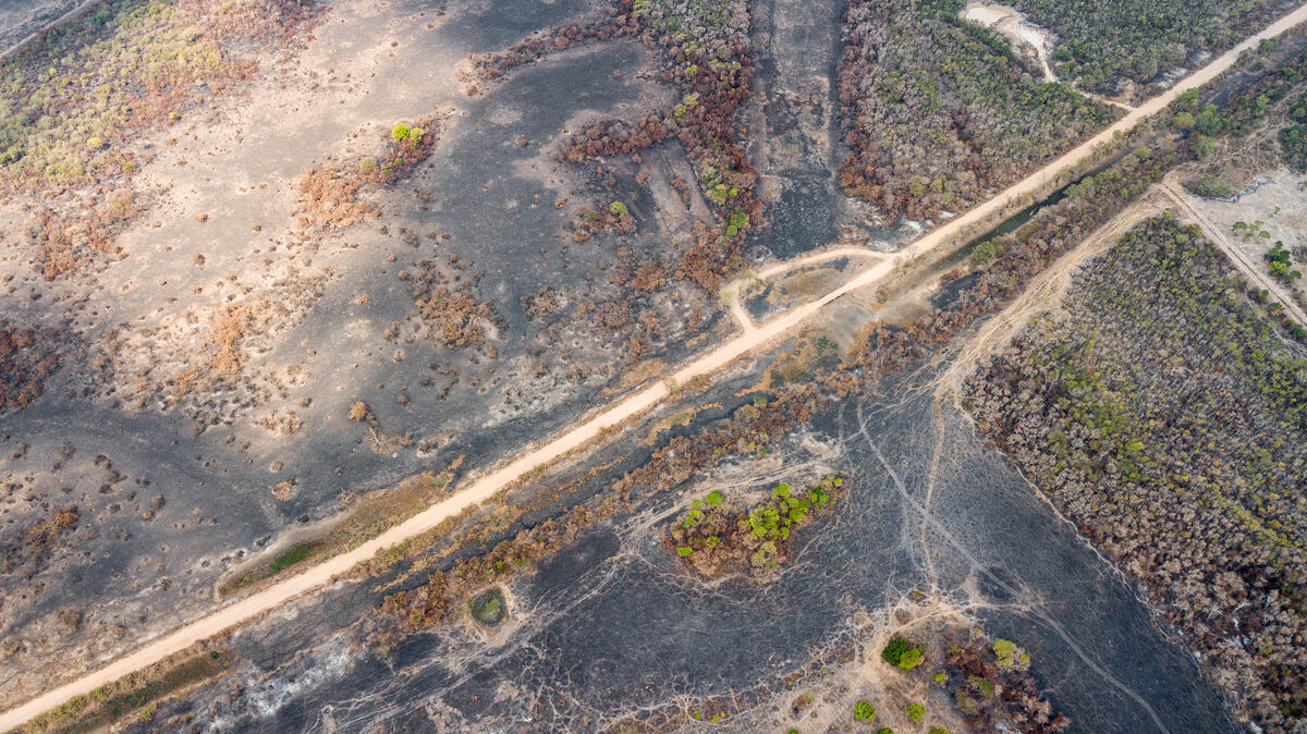 2020年綠色和平巴西辦公室親訪潘塔納爾濕地，記錄災情，並為當地組織提供支援，空拍照片顯示濕地變成焦土。© Leandro Cagiano / Greenpeace
