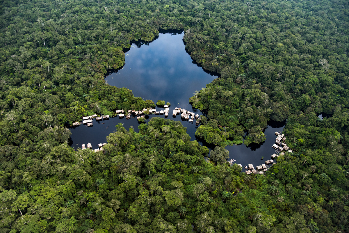 位於剛果的泥炭地森林是地球上最重要的碳匯之一，也是非洲物種最豐富的地區，身兼穩定氣候與維持生物多樣性的功能，是人類不可或缺的自然資產。© Daniel Beltrá / Greenpeace