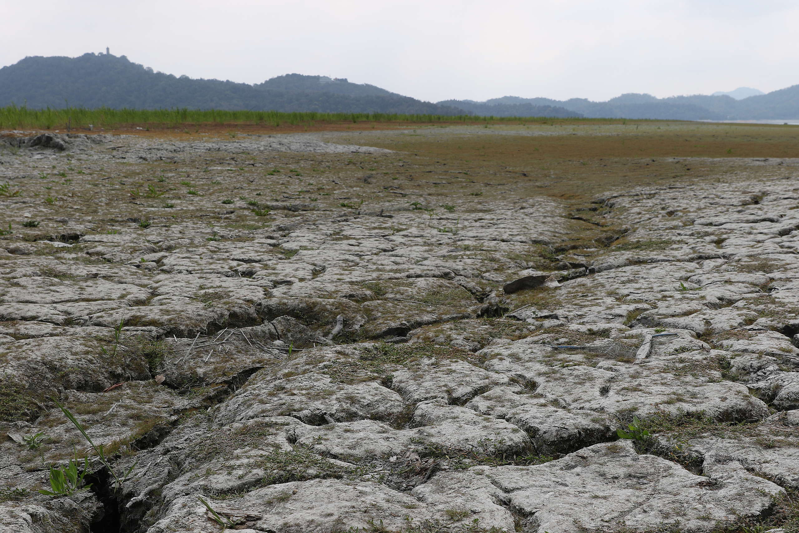日月潭因缺水露出的龜裂土地，長出零星雜草，成為「日月潭大草原」。攝於2021年3月。© Cynthia Chen / Greenpeace