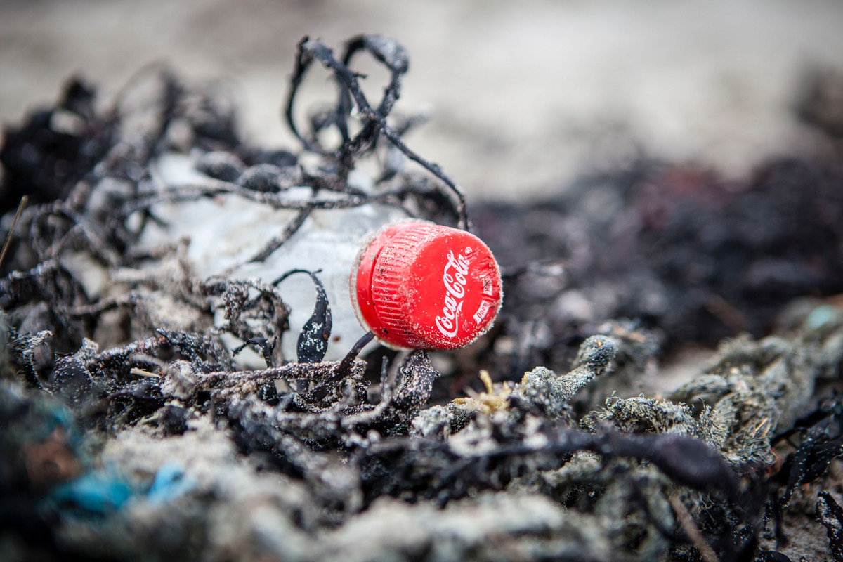 蘇格蘭海灘一隅的塑膠廢棄物。近年來海洋廢棄物已成為除氣候變遷之外，最迫切的環境議題，大量難以分解的一次性包裝不僅危害人體健康及生態平衡，也讓海洋生物面臨生存危機。© Will Rose / Greenpeace