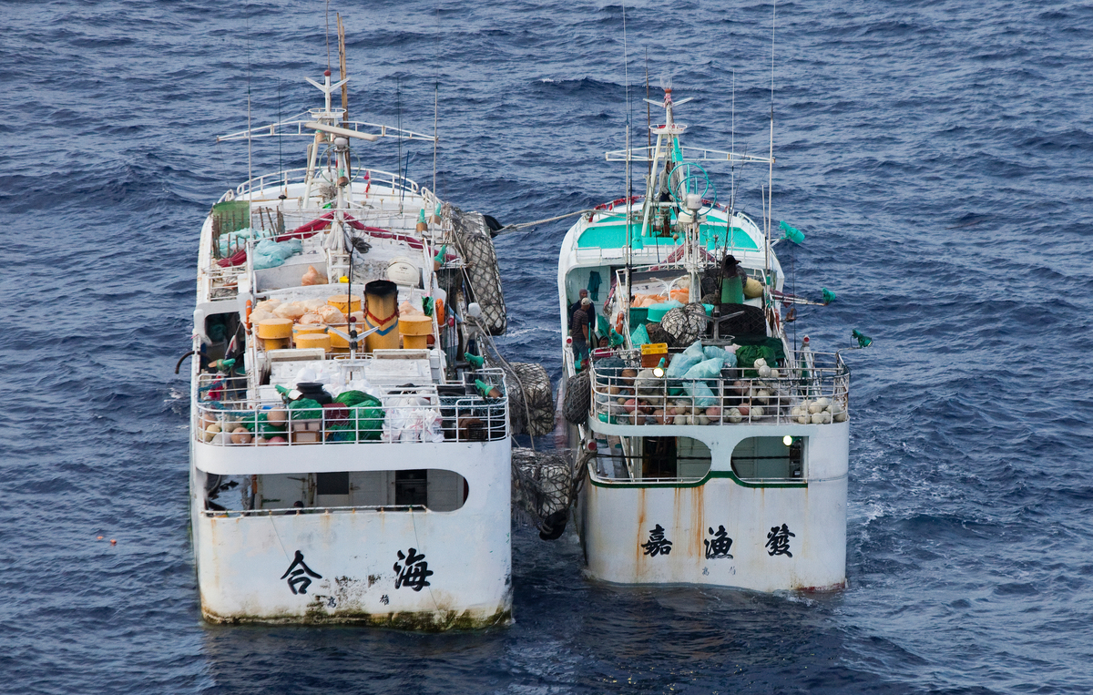 2009年，綠色和平調查團隊直擊臺灣漁船在海上非法轉載魚獲，這是全球常見用於掩蓋觸犯IUU的方法之一。