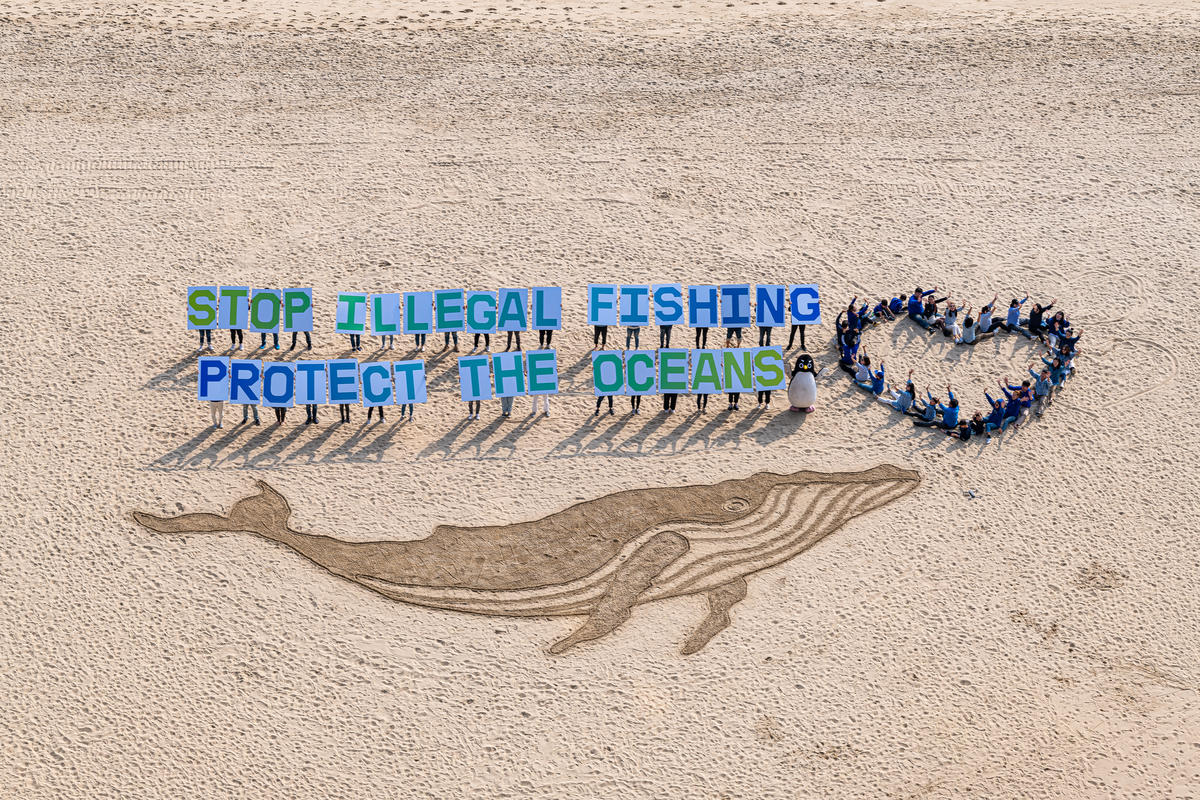 綠色和平行動者在海灘上繪製沙畫鯨魚，並高舉寫著「停止非法捕魚！保護海洋」的紙板，向韓國政府倡議正視非法捕魚造成的生態危機。2019年9月，韓國被美國列入IUU國家的初步名單，原因是政府沒有努力遏止非法捕魚行為。© Sungwoo Lee / Greenpeace