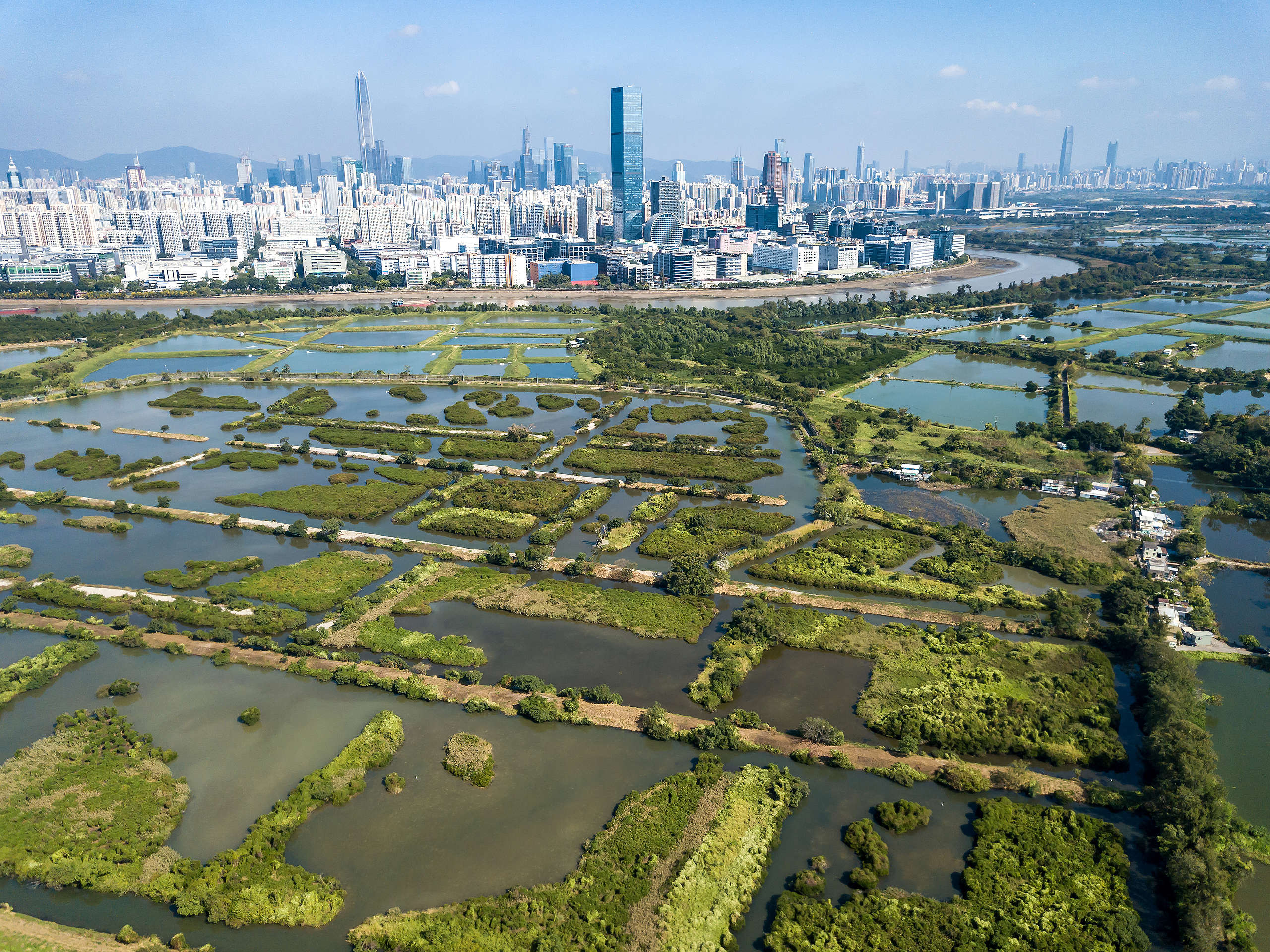 位於香港的大生圍、南生圍、米埔濕地，有大批水鳥遷徙時經過此地，但由於地勢較低，也是較容易淹水的地帶。