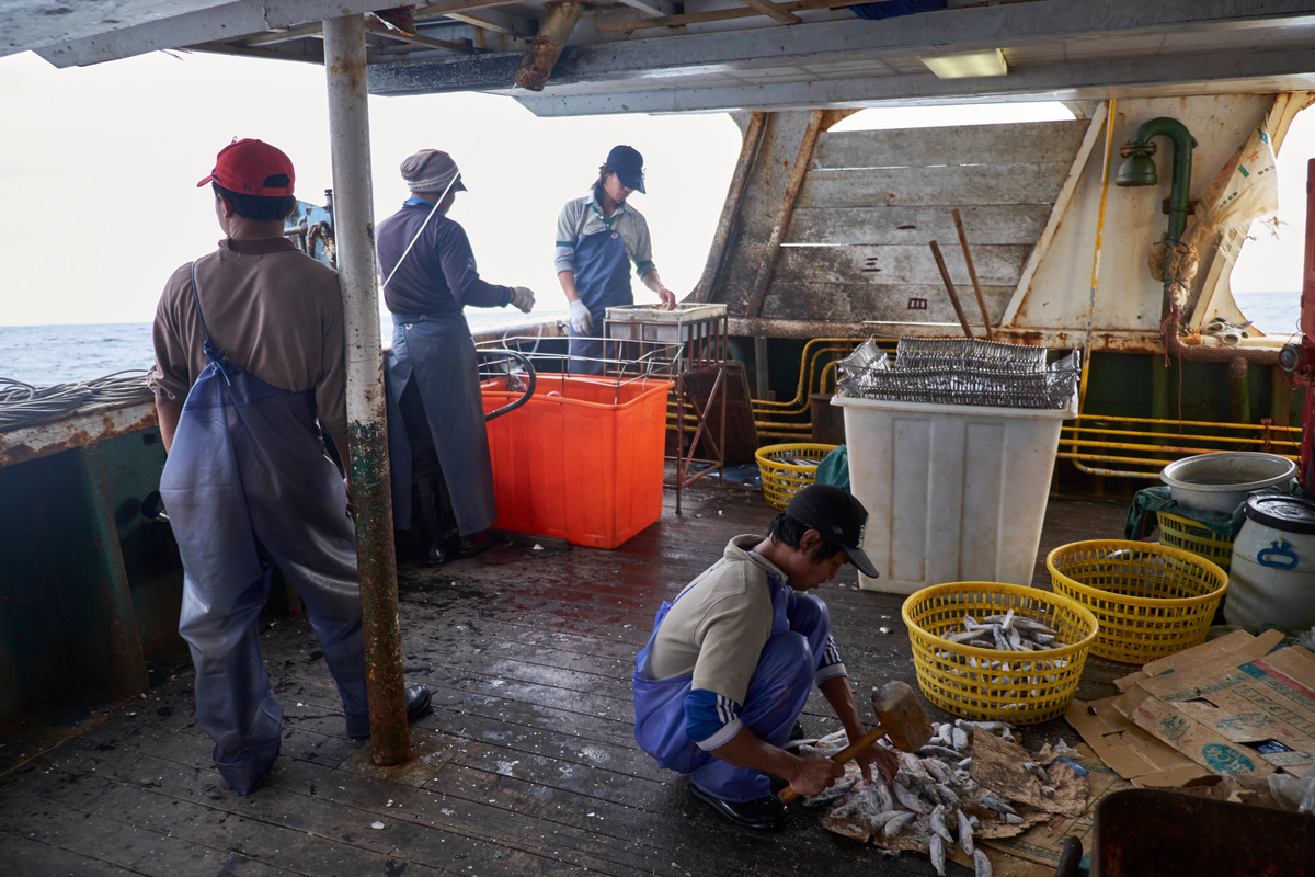遠洋漁業出現強迫勞動、工時過長，甚至剝削人權的問題，臺灣漁船的漁獲因此被美國列入「童工及強迫勞動製品清單」。