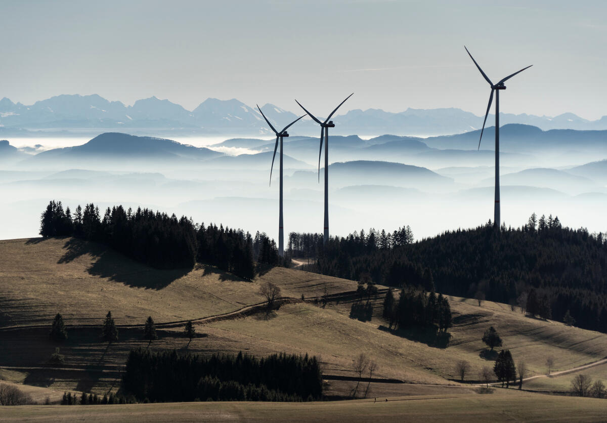 國際能源署（IEA）最新報告已指出，全球在2050淨零途徑中，不須再投資新的化石燃料，並應將經濟模式轉為以太陽能和風能等再生能源作基礎，而非過去以化石燃料為主導的模式。© Paul Langrock / Greenpeace