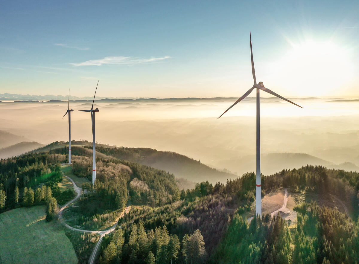 德國政府預計於2045年達到淨零碳排，境內大力發展如風力、太陽能光電等再生能源設備，以取代化石燃料與核能。圖為位於黑森林的風力發電機。© Paul Langrock / Greenpeace