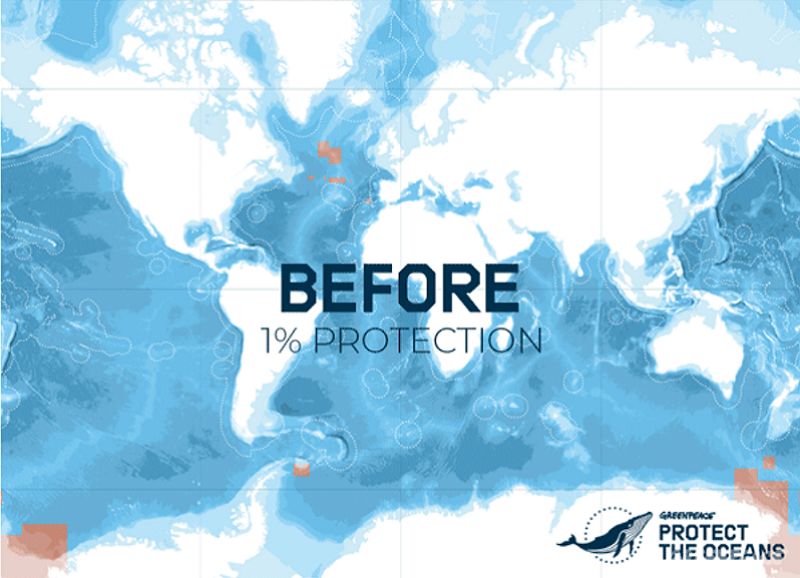 此刻全球公海只有不到1%受保護。
