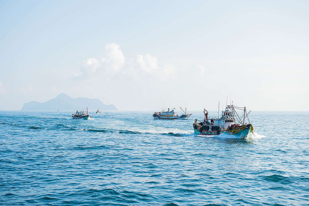 臺灣四面環海，擁有絕美海景與豐富海洋資源，然而在數十年來的工業化捕撈下，海洋生態已岌岌可危，需要您我及時守護。© Greenpeace