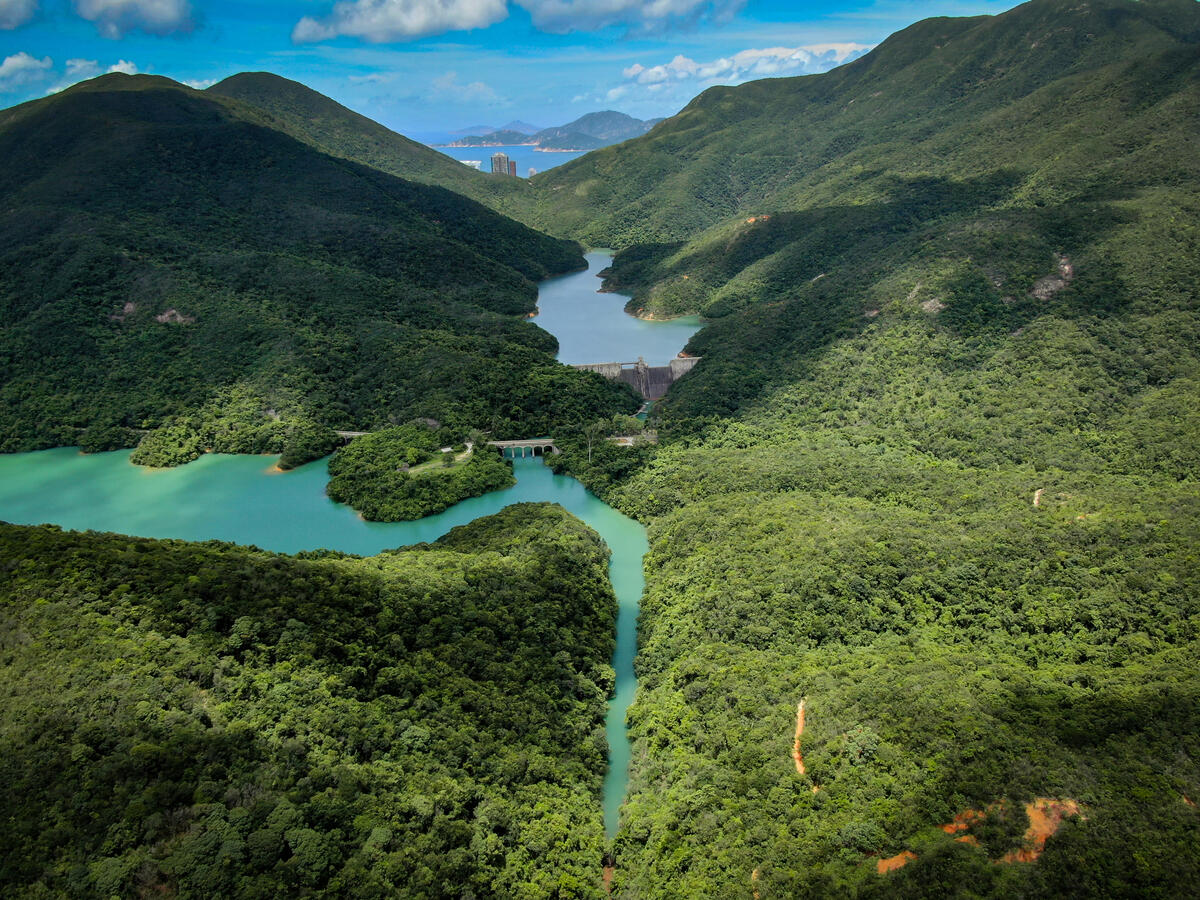 亞太地區擁有多樣化的地景，包括森林、濕地、河流、沿海地區、山林、平原等，豐富的生物多樣性維繫當地數十億人口的經濟與生計。© Greenpeace