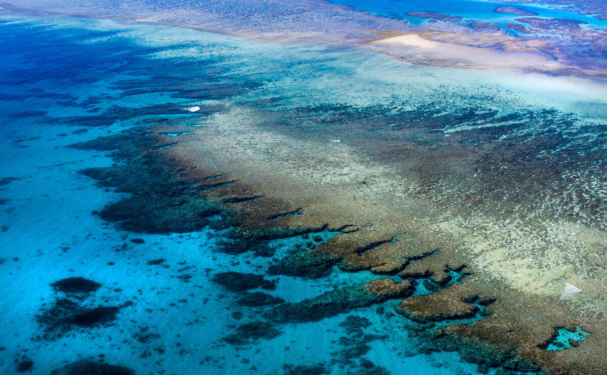 澳洲大堡礁是全球最大的珊瑚礁，由約3,000個獨立珊瑚礁組成，沿澳洲東北海岸延伸超過2,300公里，是世界上生物多樣性最為豐富的生態系統之一，富含大量的海洋生物與植物。© Paul Hilton / Greenpeace