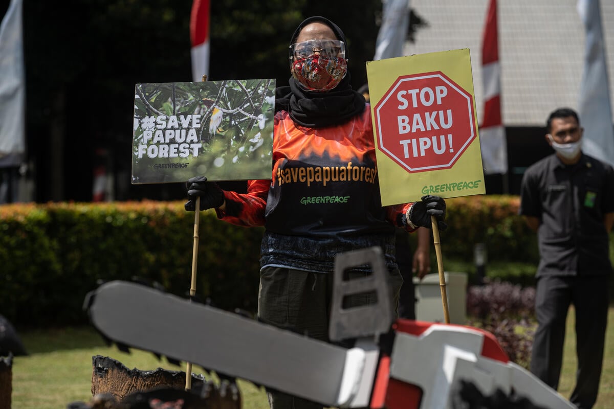 2021年4月，綠色和平行動者前往印尼林業及森林部前，以行動劇重現巴布亞森林火災情境，並向部長送上國際綠色和平發布的最新報告《清除執照》，要求政府撤銷巴布亞省內許多正在破壞森林的開發許可證。© Jurnasyanto Sukarno / Greenpeace