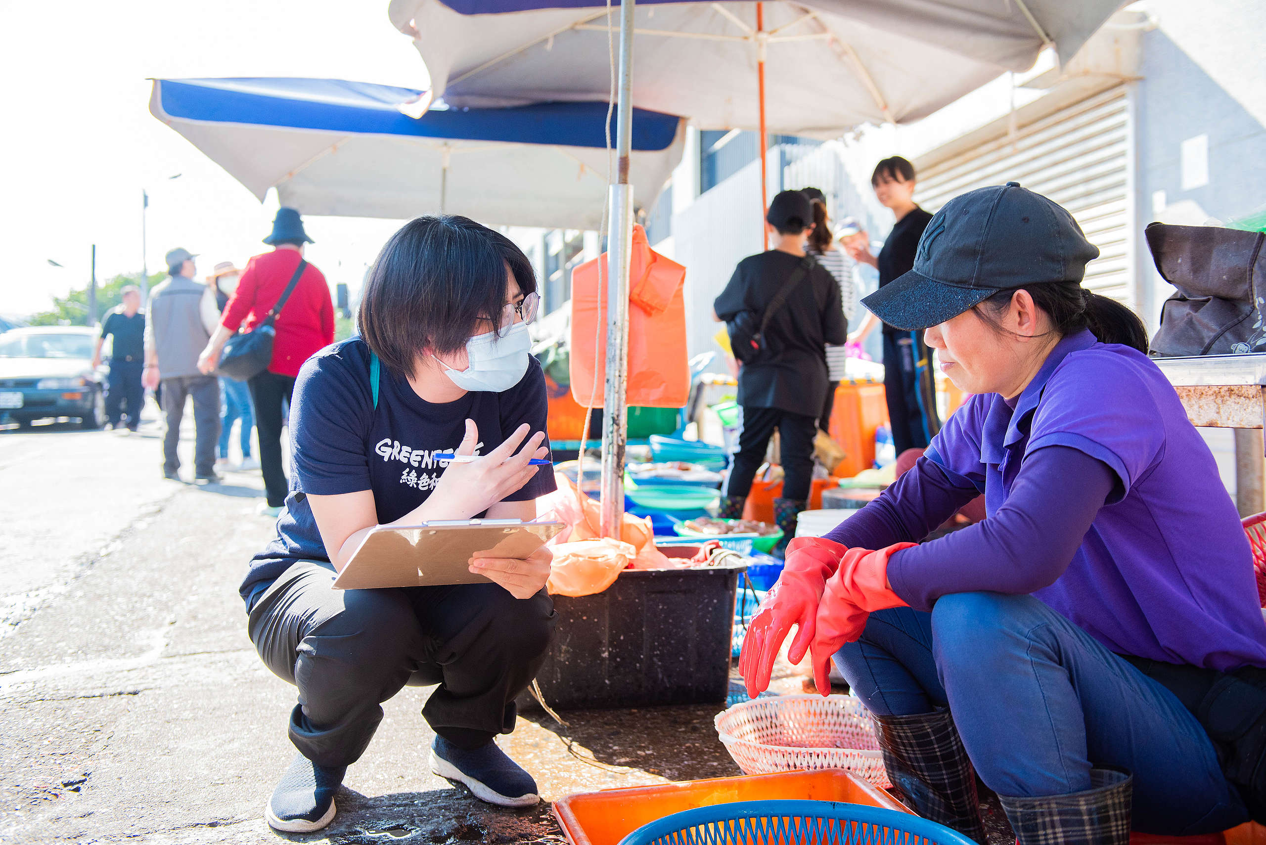 綠色和平實地訪查臺灣在地魚市場、魚販，了解漁獲現況。