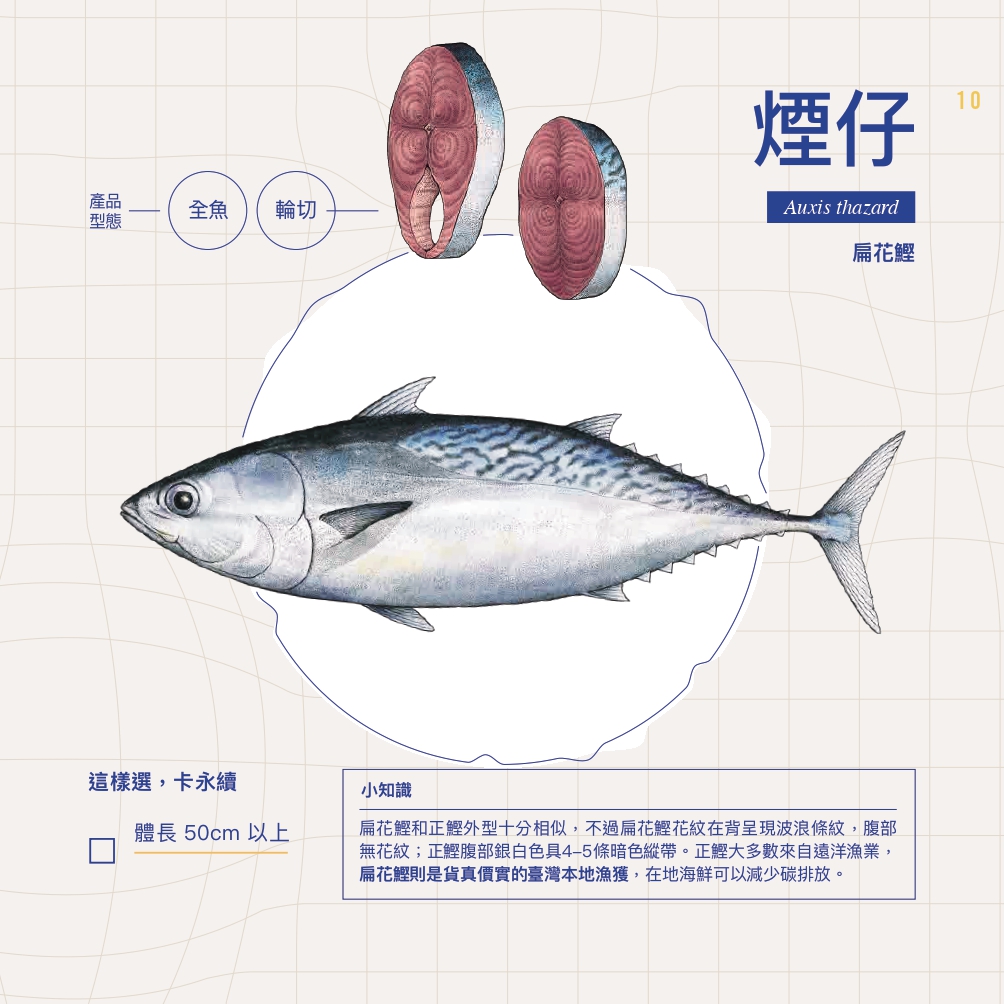 綠色和平推出的《永續海鮮選購手冊》中,煙仔是其中一種對環境相對友善的魚種。
