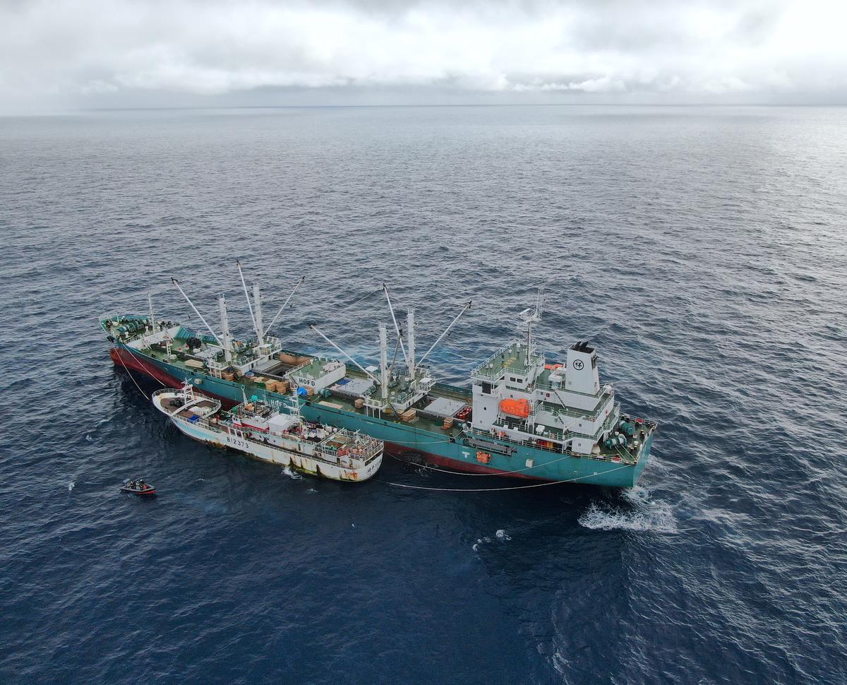 2019年綠色和平直擊臺灣漁船在大西洋中央，進行冷凍鮪魚和鯊魚鰭的海上轉載。