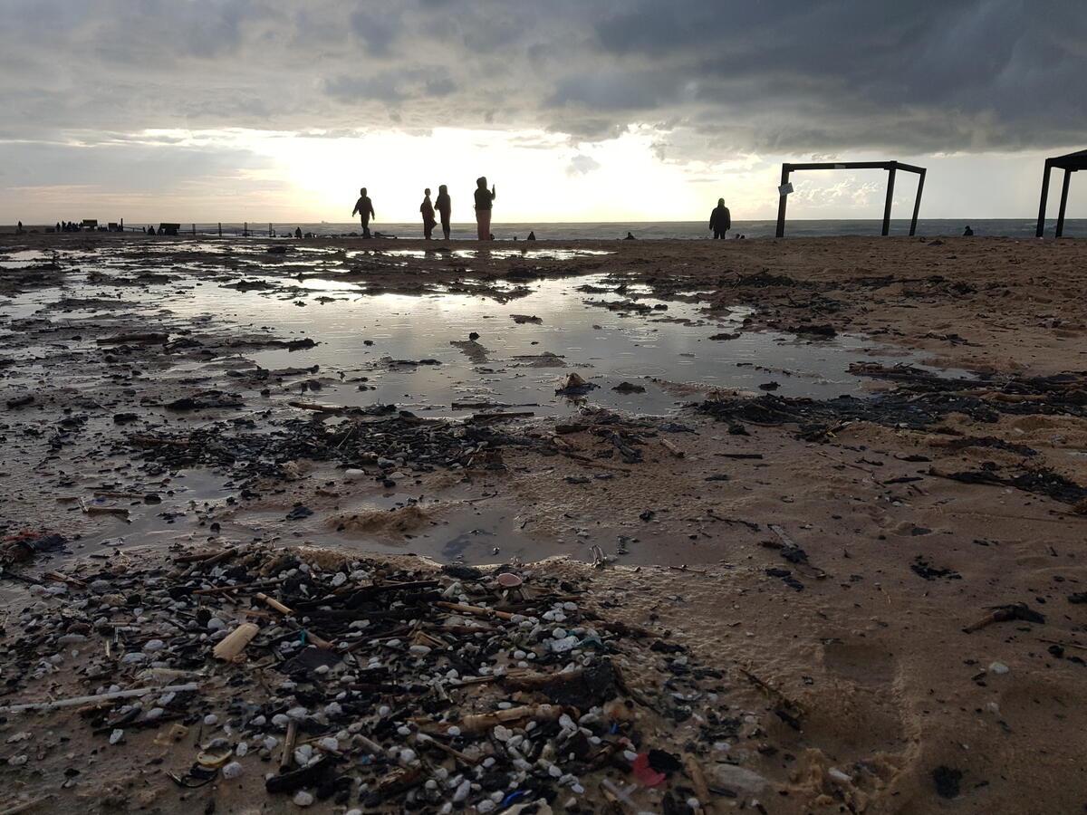 2021年2月，以色列外海發生漏油事故，污染該國超過170公里的海岸線，許多海鳥、海龜等海洋生物被焦油覆蓋。