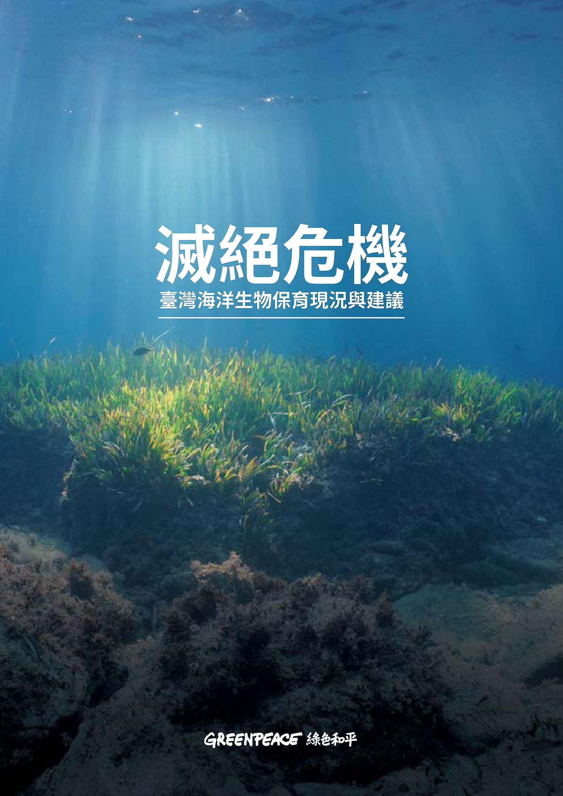 滅絕危機：臺灣海洋生物保育現況與建議