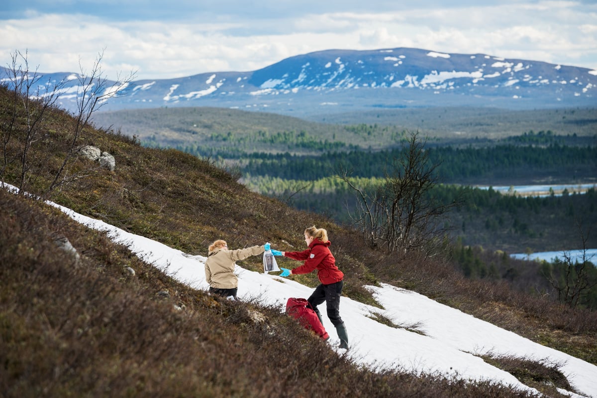 2015年6月，綠色和平挪威團隊於挪威、瑞典、芬蘭三國交界點（Treriksroset），採集積雪用於化驗是否含有PFCs等有毒化學物質，向戶外用品品牌倡議去毒。