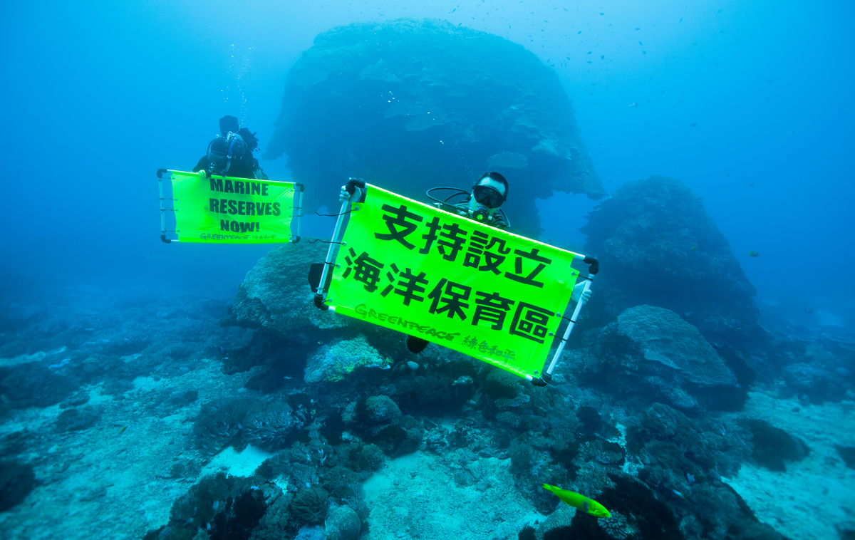 綠色和平行動者於綠島水下拉起布條，呼籲擴大設立海洋保護區，為海中生態提供足夠的庇護。